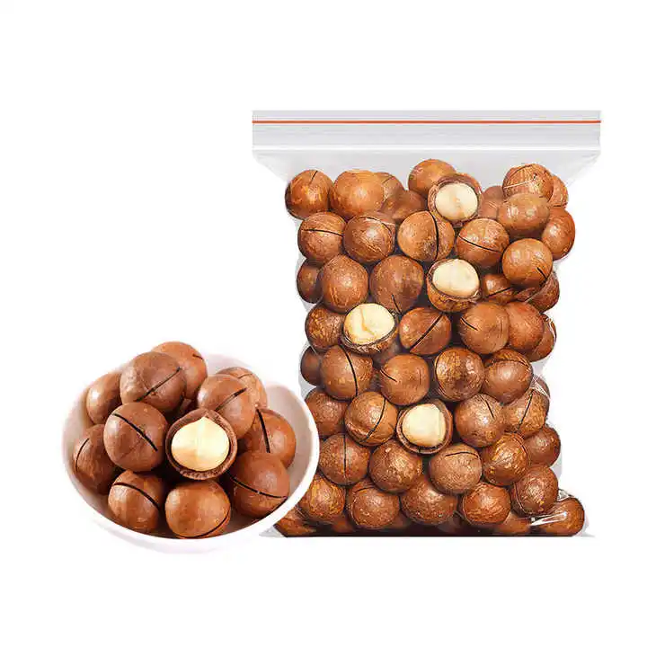 Top quality rich nutrition organic macadamia nuts south africa delicious macadamia roasted