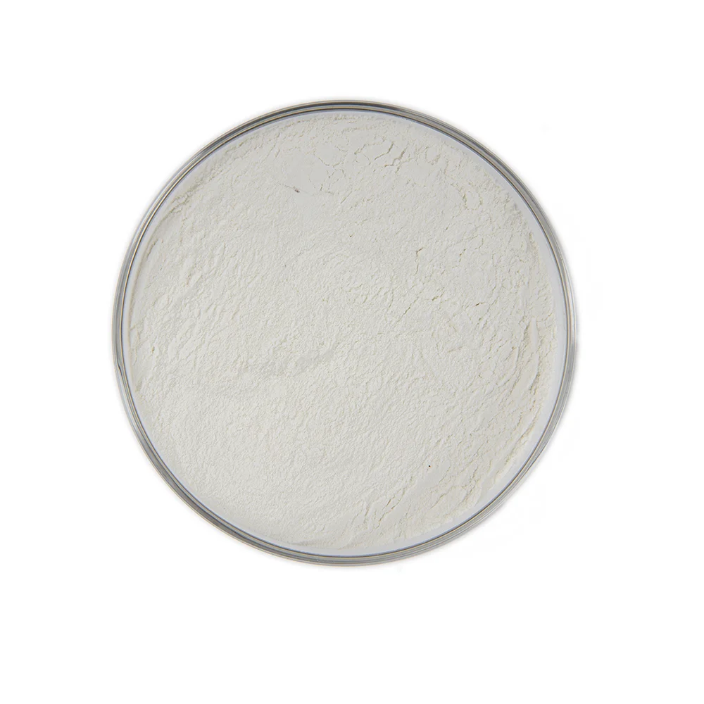 Factory Supply High Quality Lipase powder Food Grade