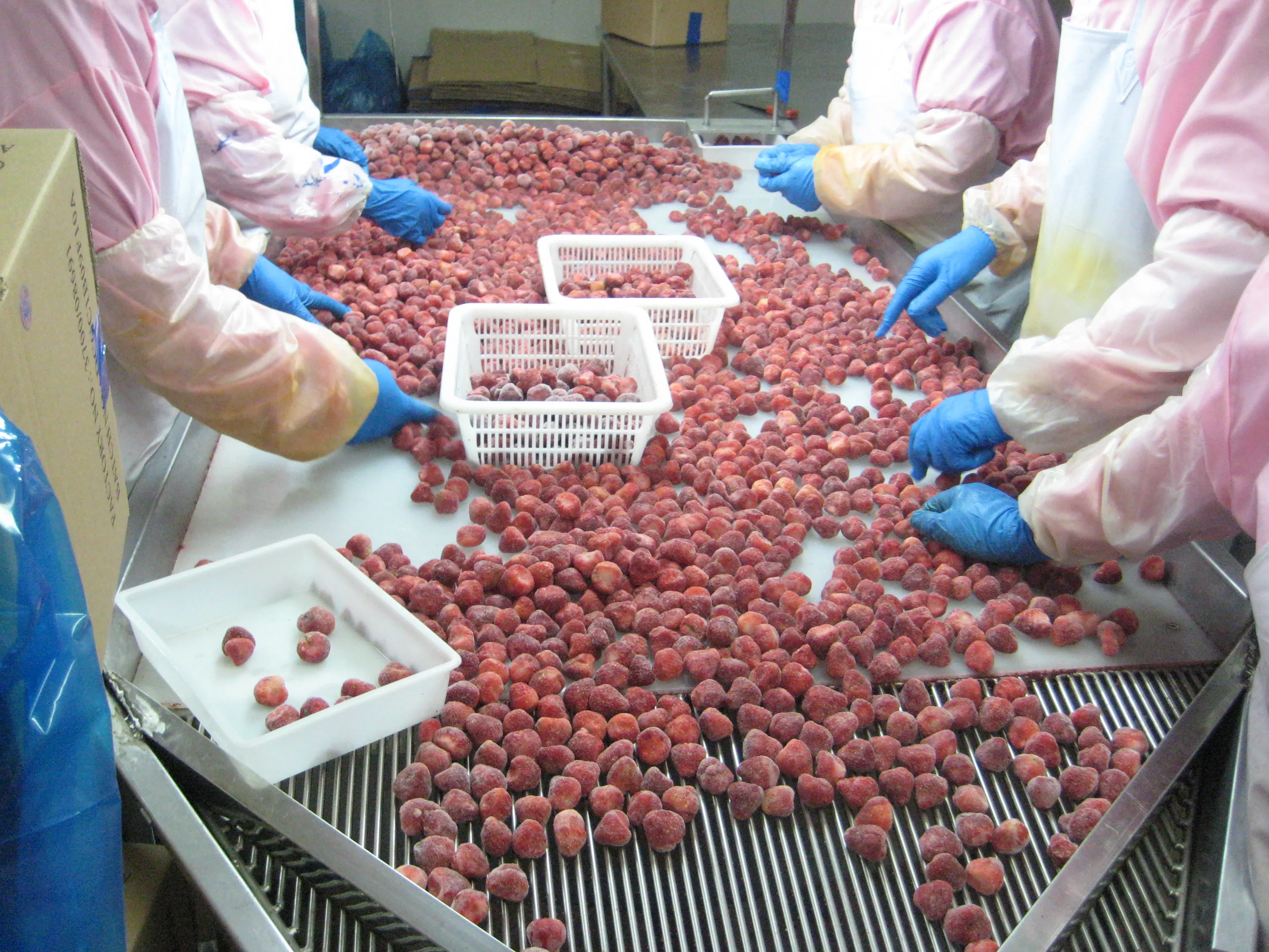 IQF frozen strawberry