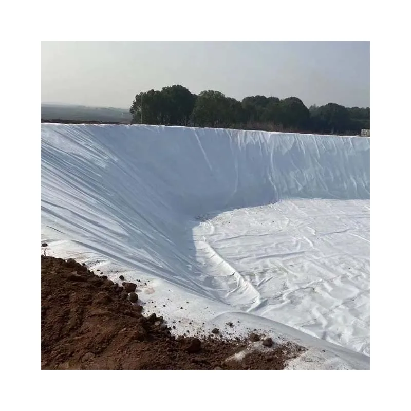 Factory Price HDPE Geomembrane 1mm 2mm Pond Liner/Dam Liner/Biodigester/Landfill Geomembranas High Quality Geotextiles for Sale
