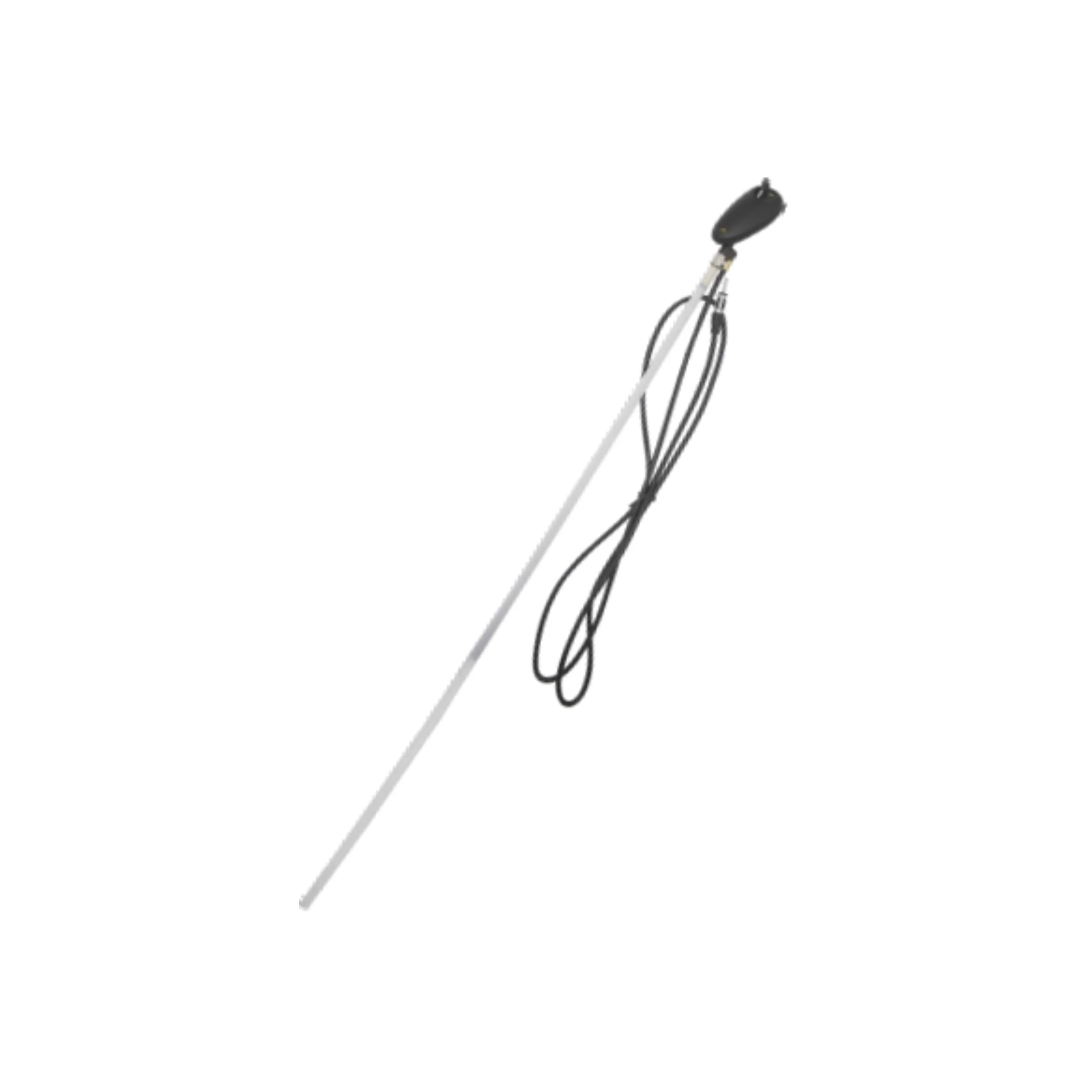 LR AUTO car Accessories car roof Antenna Mobile Antenna Auto part car antenna for HONDA