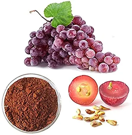 
95% OPC Proanthocyanidins Grape Seed Extract with Polyphenol 