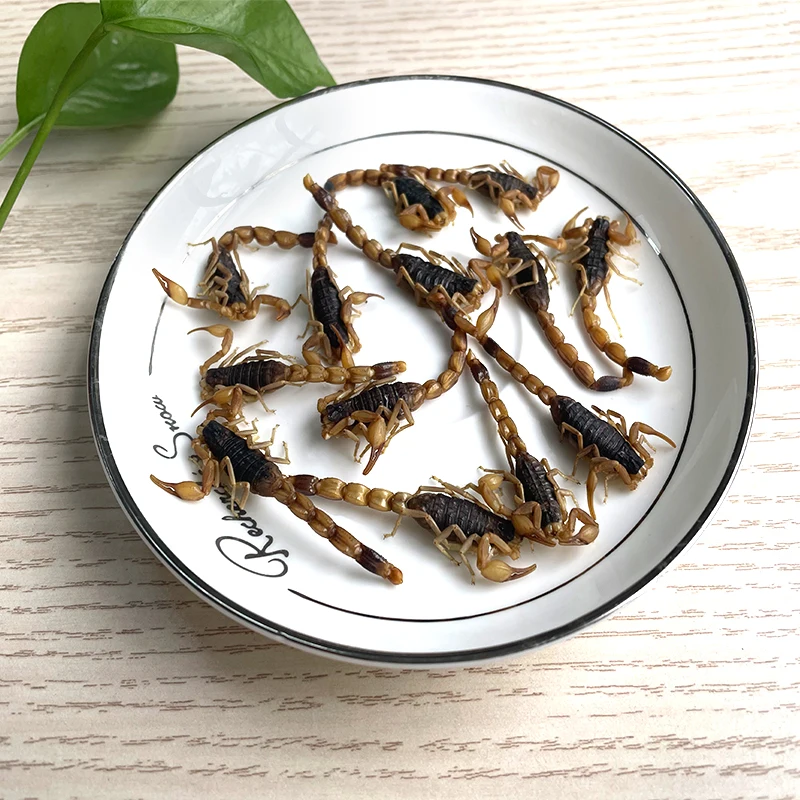 Снэки с высоким содержанием белка, низким содержанием жира, естественное питание, червь, эко-свежий скорпион