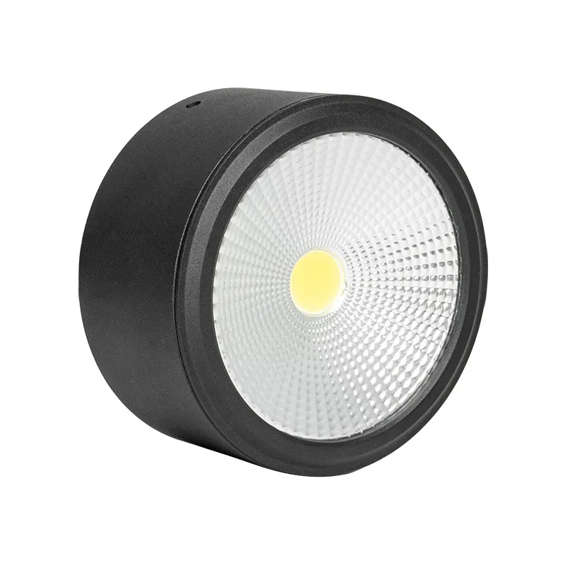 New High Quality Hotel Downlight With Dali Driver Surface Mounted Recessed Cob Led Downlight