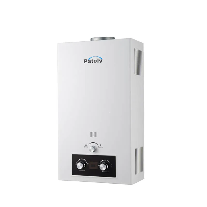Australia Market RV Portable Camping Outdoor LPG Natural Tankless Instant Gas Geyser System Water Heaters Shower