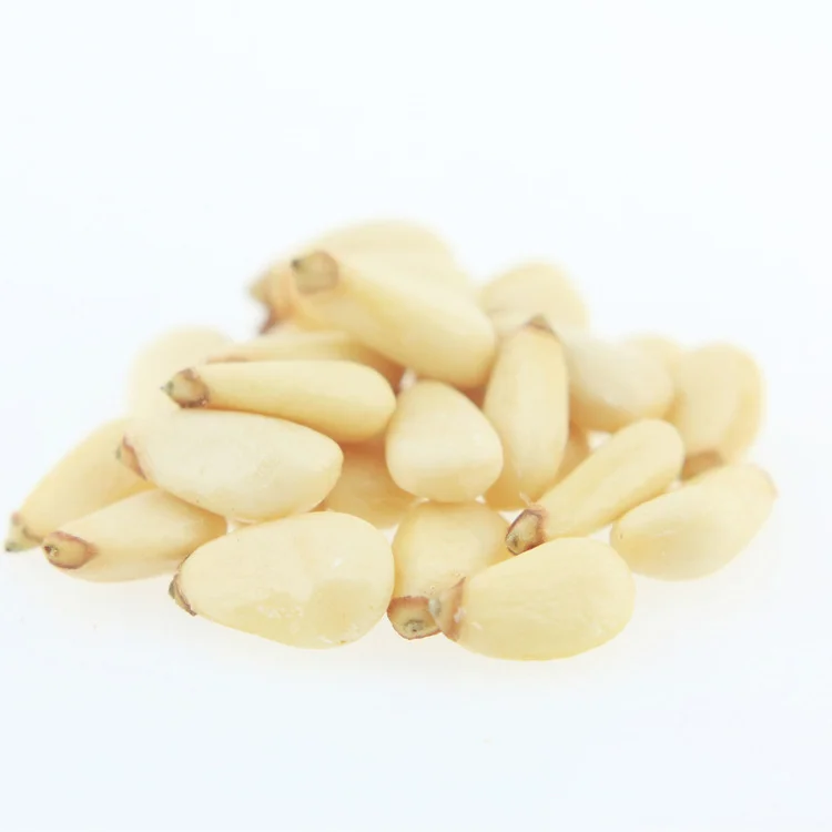 Wholesale Delicious Pine Nuts Kernel Price Factory Price Pine Nut