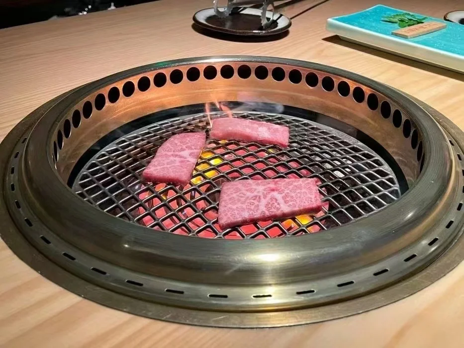 Japanese 295mm Super Bbq Grill Net Non Stick 306 Stainless Steel Barbecue Grill Wire Mesh Net 280mm Bbq Grill Wire Mesh Net