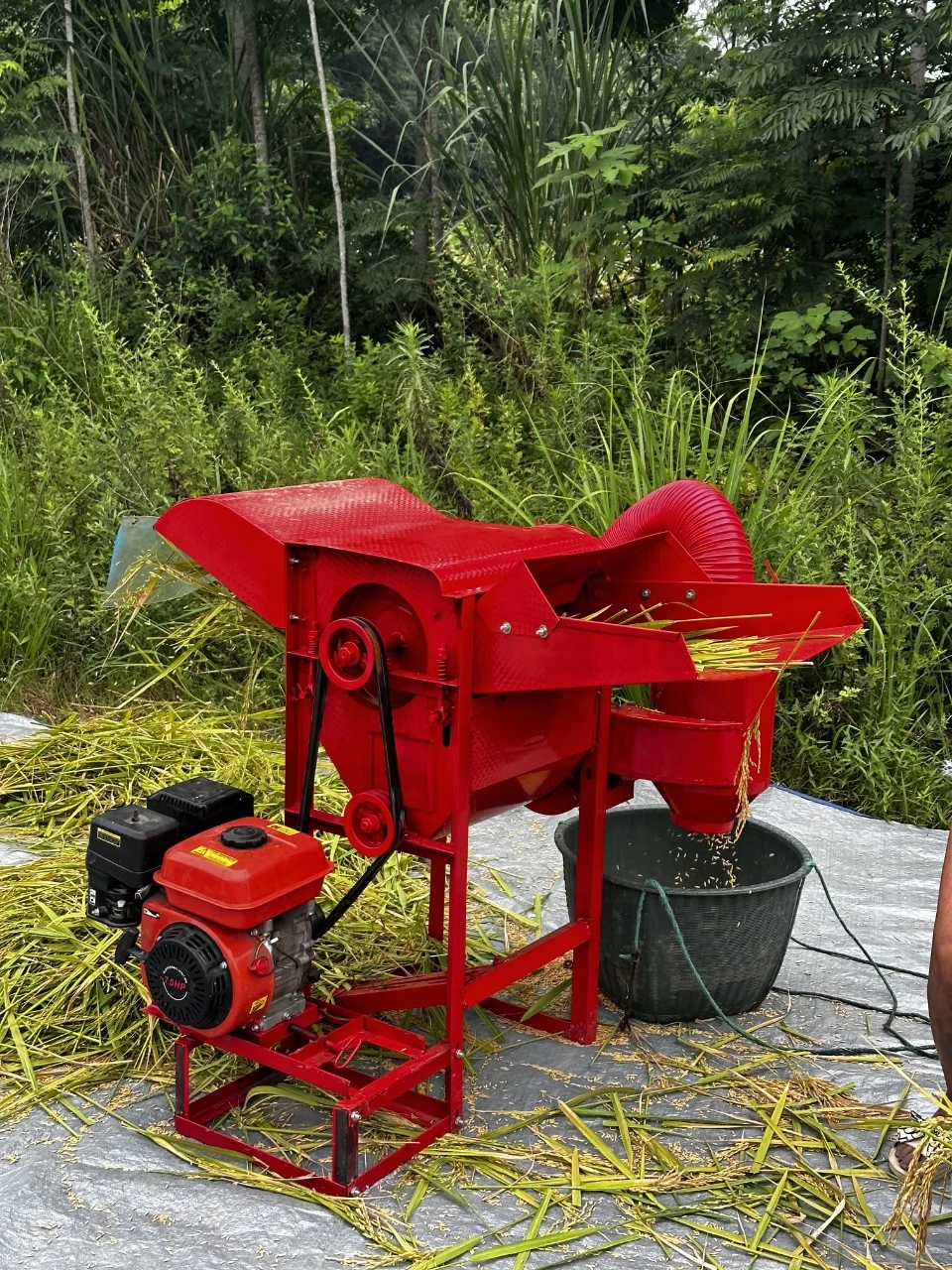 Maize Thresher For Sale Maize Thresher  small scale sorghum soybean paddy rice wheat peeler corn sheller thresher machine