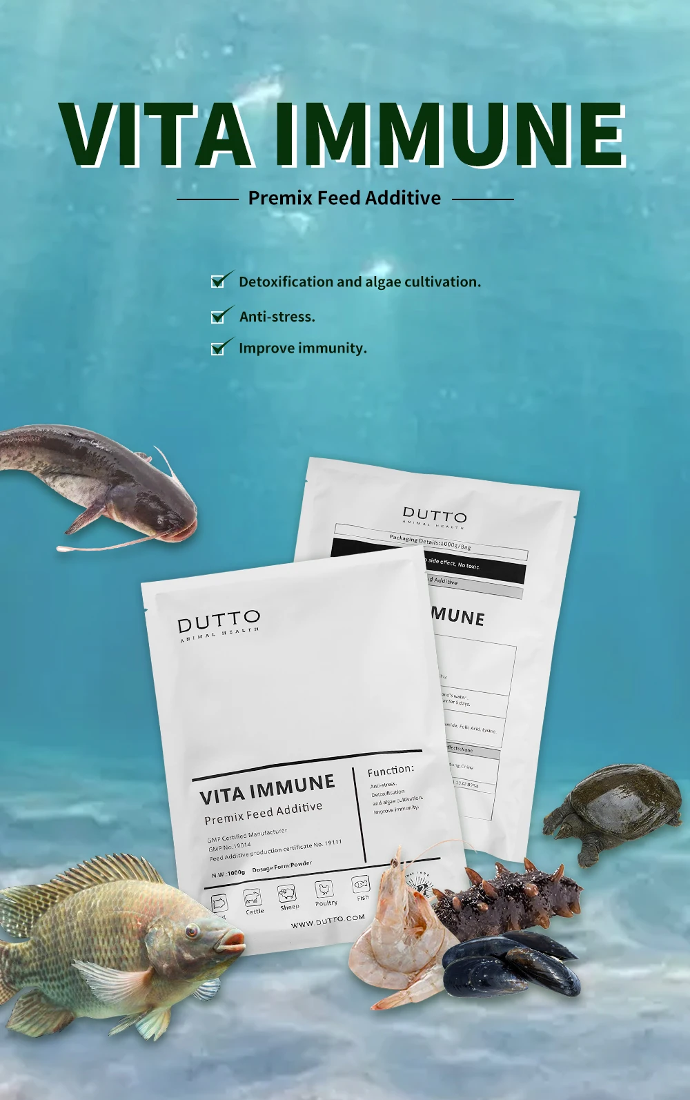 Efficient boost immunity and water quality in fish, especially fingerlings