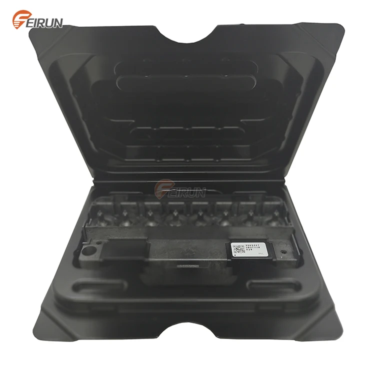 Unlocked Eco-solvent Print Head F186000 DX5 Printhead for inkjet printer