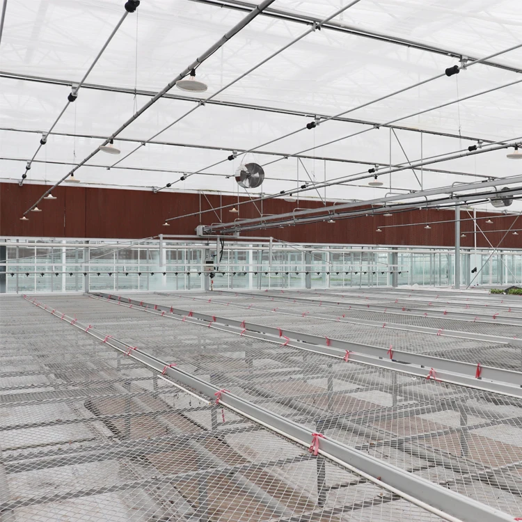 Low Cost Rolling Bench Growing Tables Commercial Plants Wire Mesh Greenhouse Bench