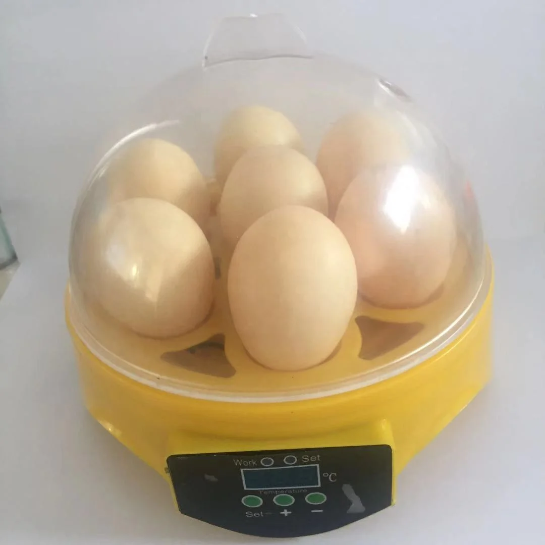 Full Automatic Mini 7 Chicken Egg Incubator CE Approved Cheap Price For Sale