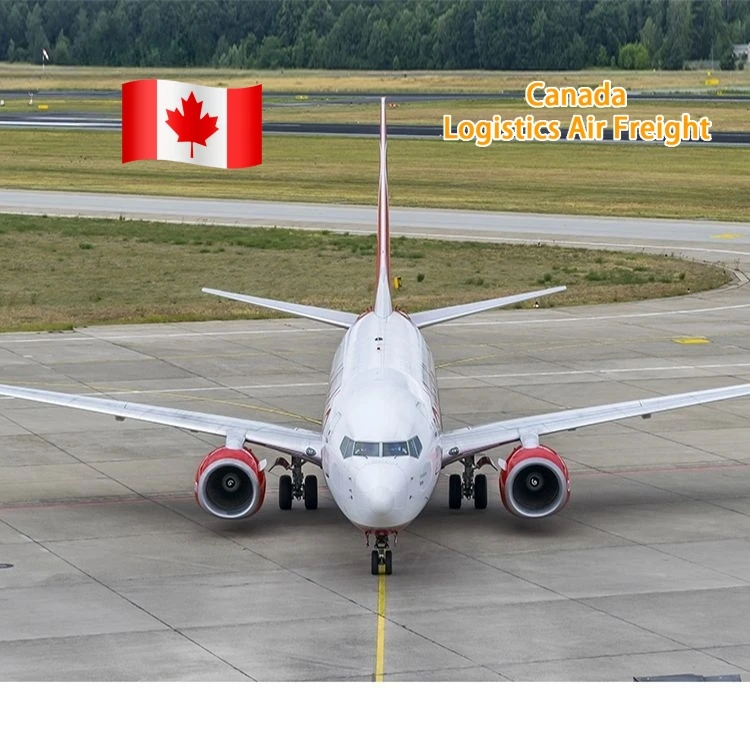 logistics services air express DHL UPS forwarder china to Canada freight forwarder buying agent Logistics air freight