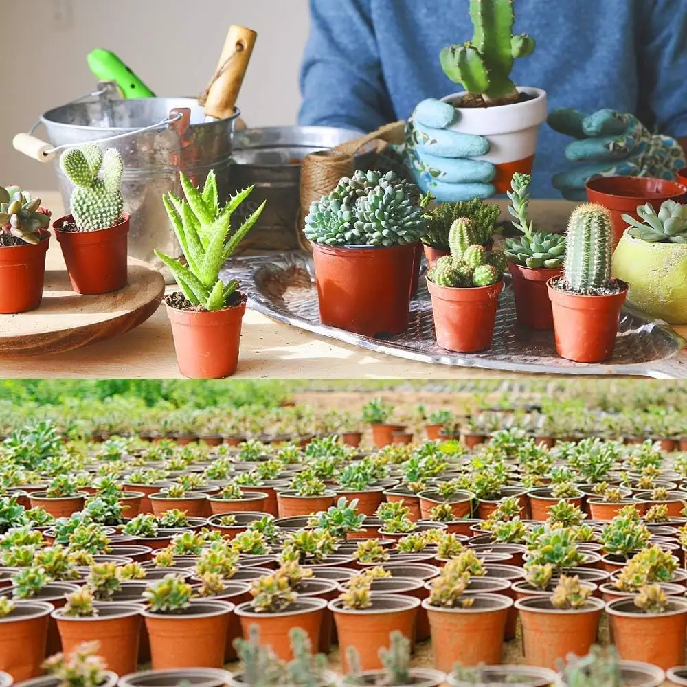 4 Inch Plastic Nursery Pots for Plant Seedling Flower Container Seed Starting Garden Pots Planters