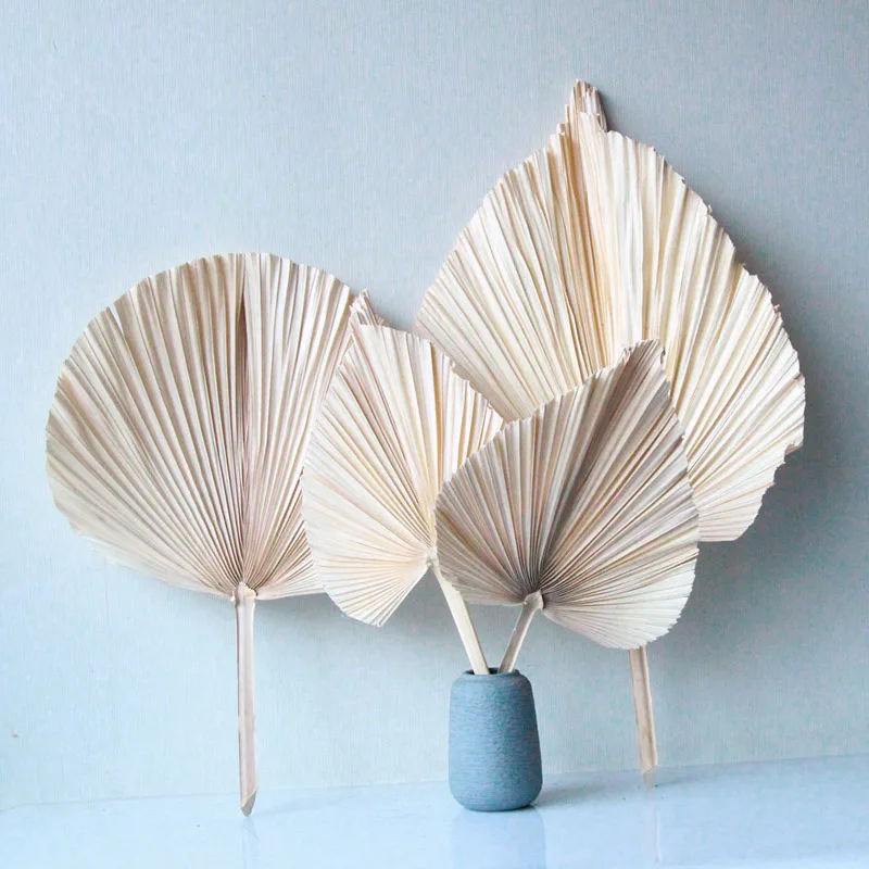 Boho Wedding Decor Natural Flower Plant Preserved Large Tropical Dry Palm Spears Fan Leaf Bleach White Small Dried Palm Leaves