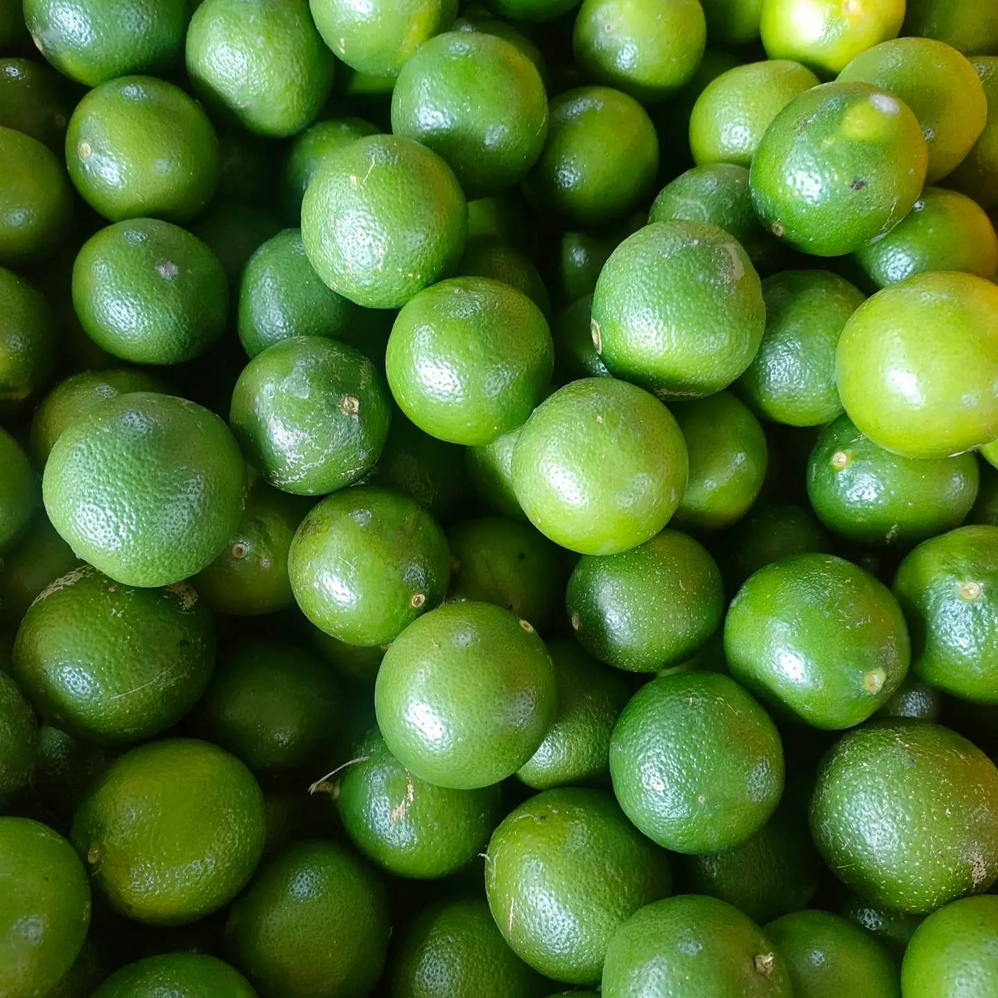 Фрукты каламansi