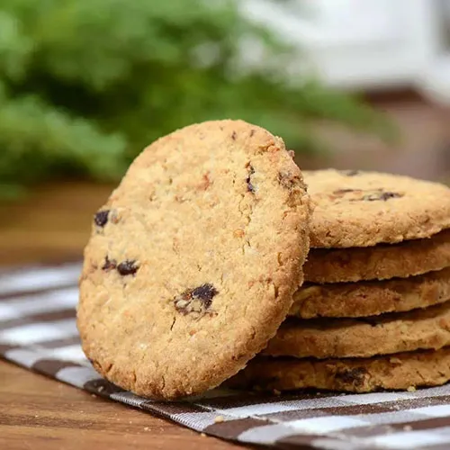 Food Additives High & Low Sugar Instant Dry Yeast for Baking Bread