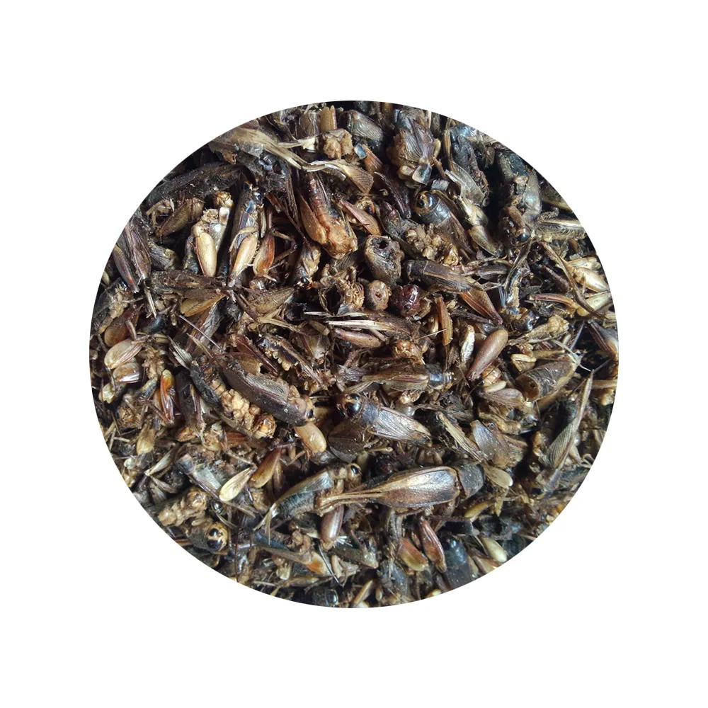 
factory private label natural high quality pet food Dried Crickets for reptiles fish bird food 