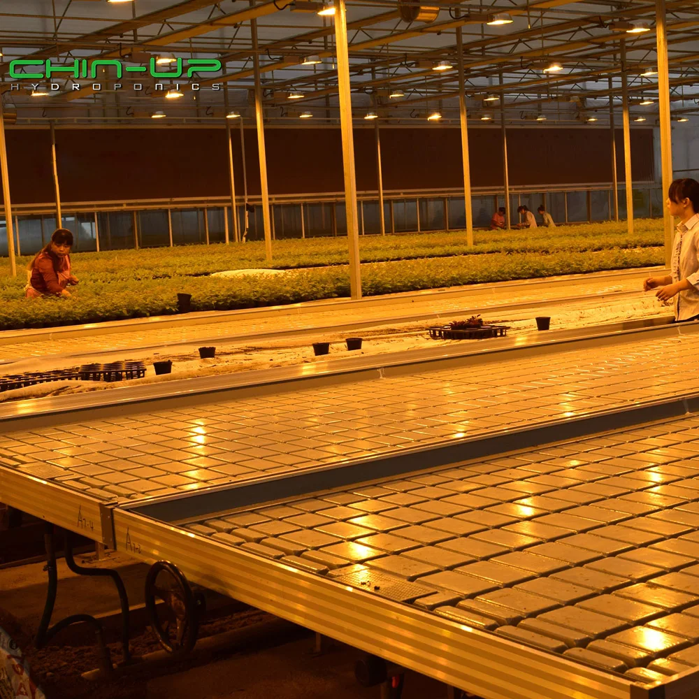 Подбородок для теплицы и выращивания стола, вращающаяся скамья