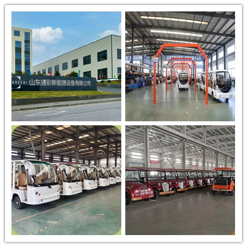 TONGCAI China 2024 wholesale luxury Electric Energy 86/36-68 Seats 3 Wheel Motorcycle tourist 12m half-open double-decker bus