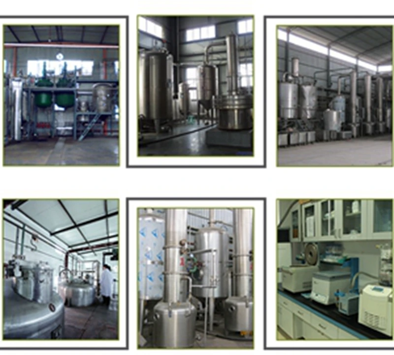 Factory supply 100% natural acacia catechu bark extract powder