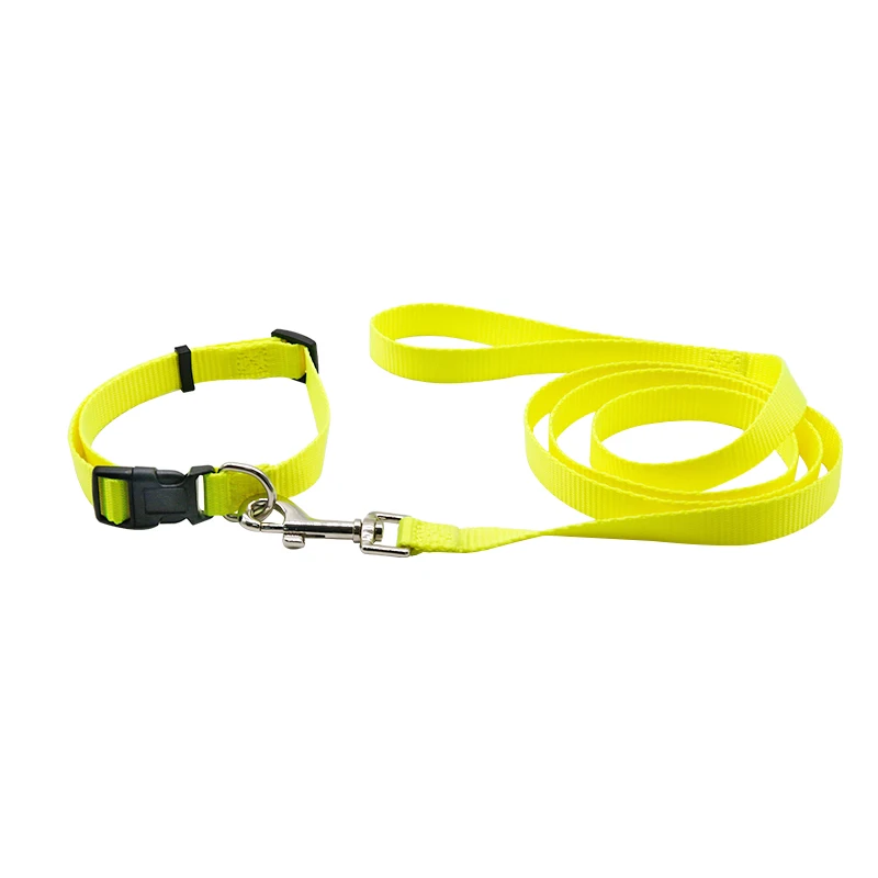 LH Pet Collars Leashes High Quality 5m Small Size RIBBONS Solid Nylon Dog Collar Rope Lead Set Collar Dog Nylon 1pc/opp Bag