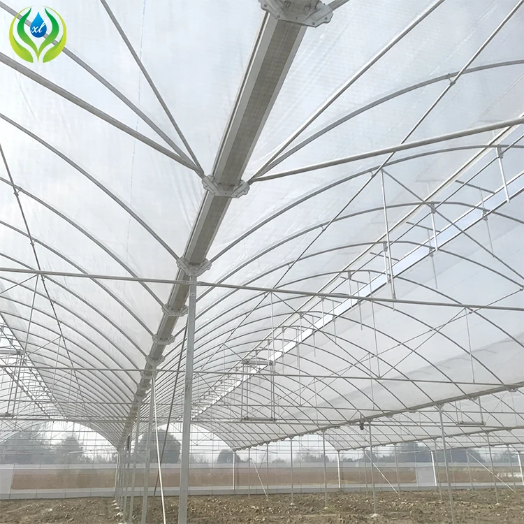 MYXL outdoor greenhouse farming vegetable metal frame green house plastic agriculture commercial