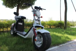 smart two wheels citycoco electric scooter with 12 inch aluminum hub wheel