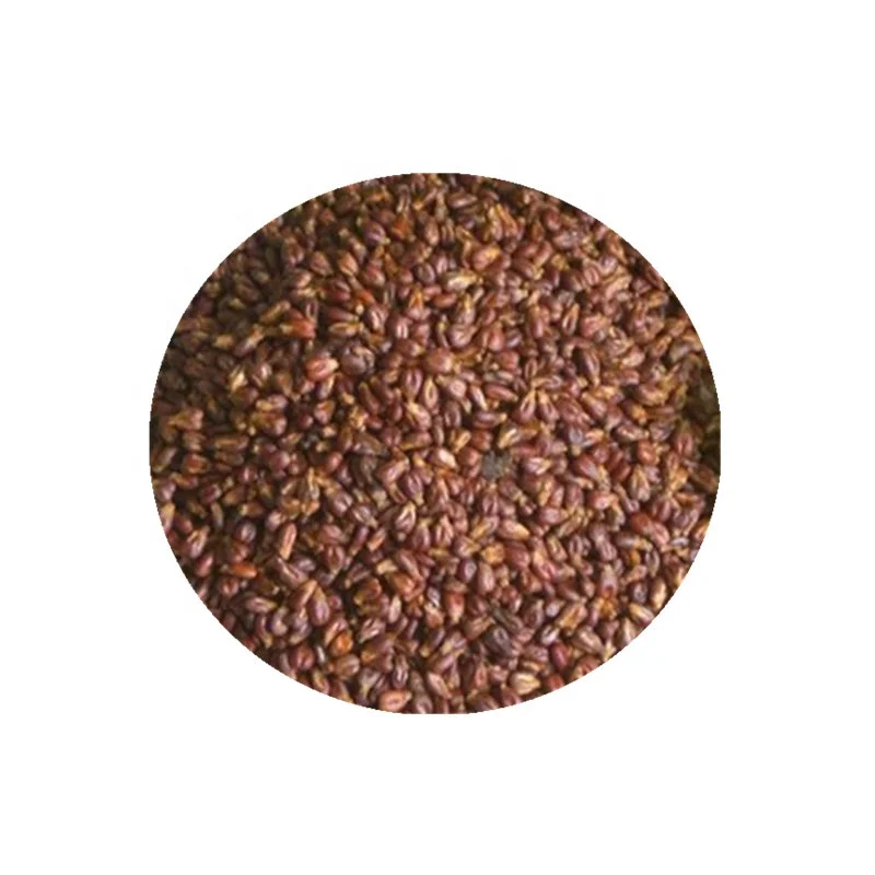 
High quality anti oxidant grape seed extract powder 95% OPC 