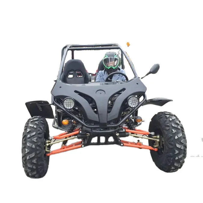 New Youth Rider 200cc 4 Stroke High Power Off Road Farm Gasoline 2 Seater Buggy Go Kart
