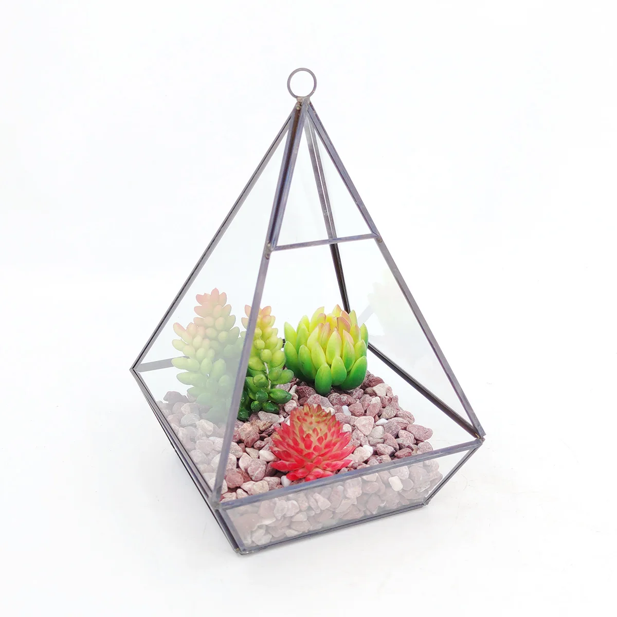 Hanging vertebral gold metal geometric glass terrarium air plants holder tabletop succulents planter box