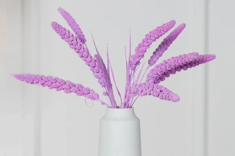 China millet flower.png