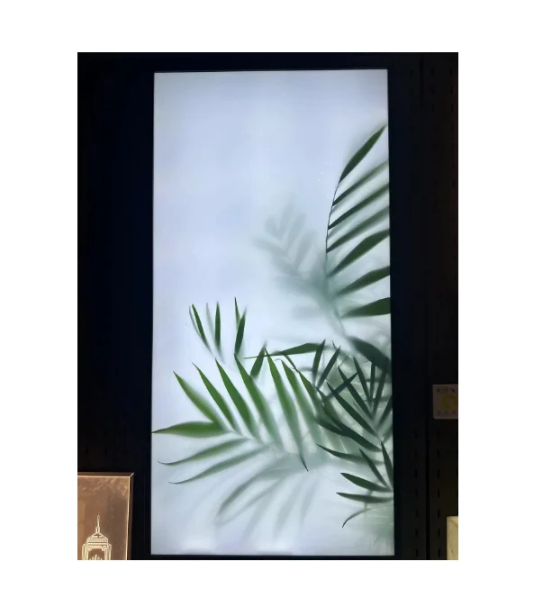 Aluminum LED Backlit Plant Picture Light Box Advertising Signage Fabric Light Boxes