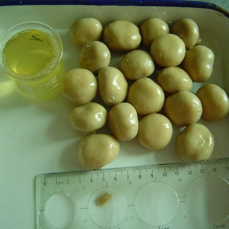 Оптовая продажа из Китая, консервированные грибы, цельные/ломтики