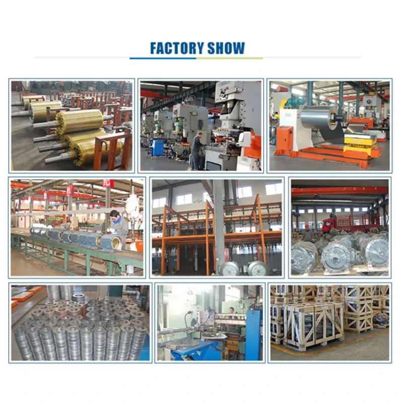 LEADGO New Wave Y Series High Efficiency single speed ac induction 50kw 5hp 3ph 480v motor