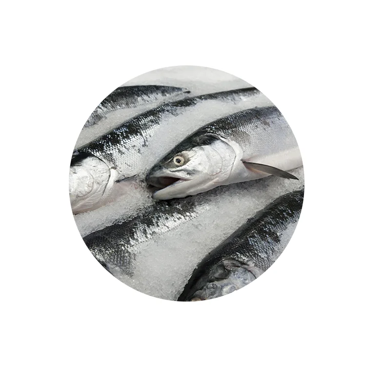 
 Производители замороженных рыб, оптовая продажа замороженных рыбных продуктов, сделанных в Казахстане  