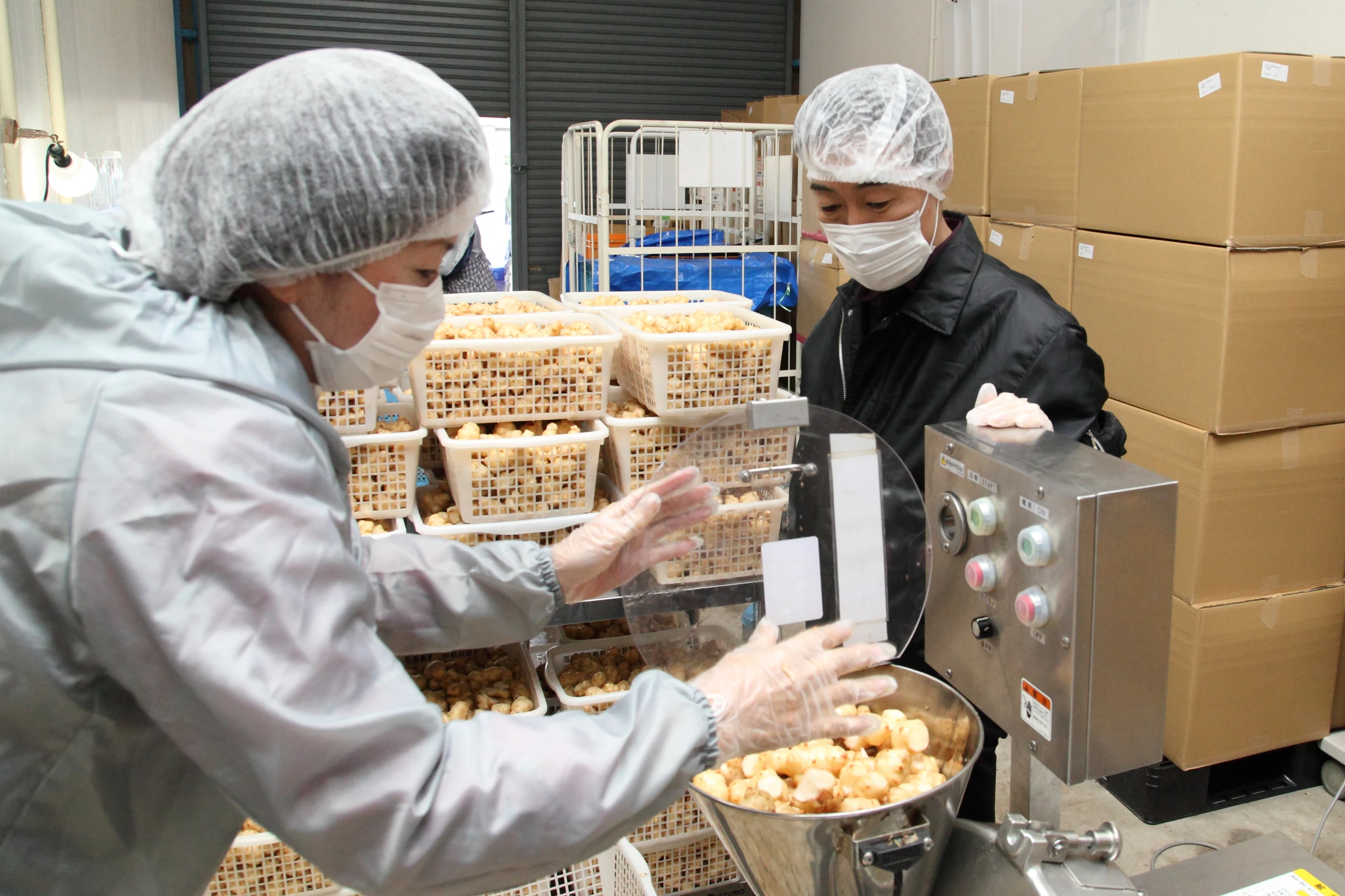 
250mg golden Jerusalem artichoke lower organic bulk inulin diabetes blood 