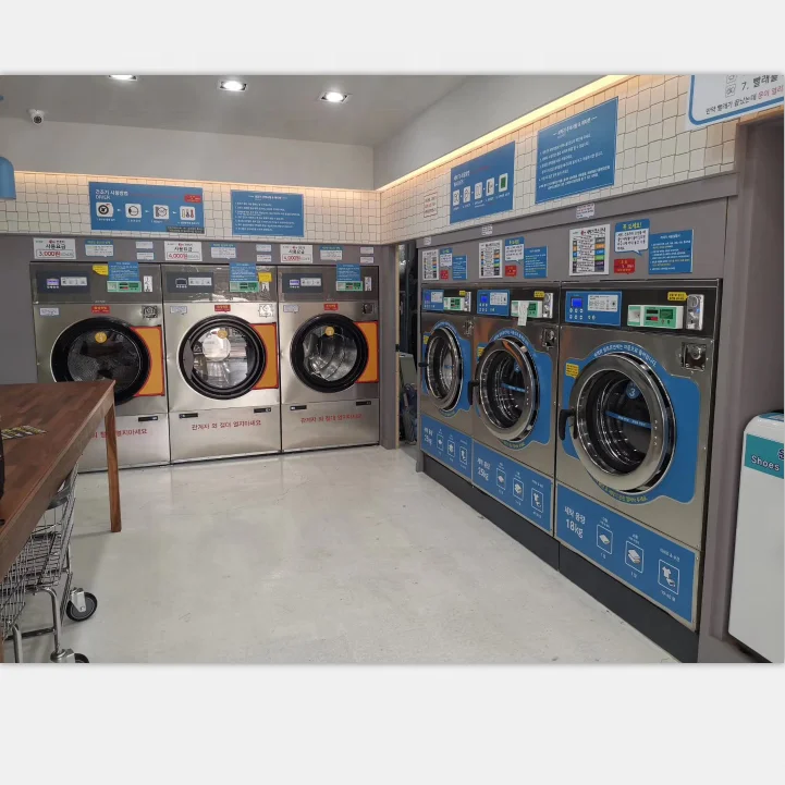 Coin feeding shoe washing machine/shoe washer