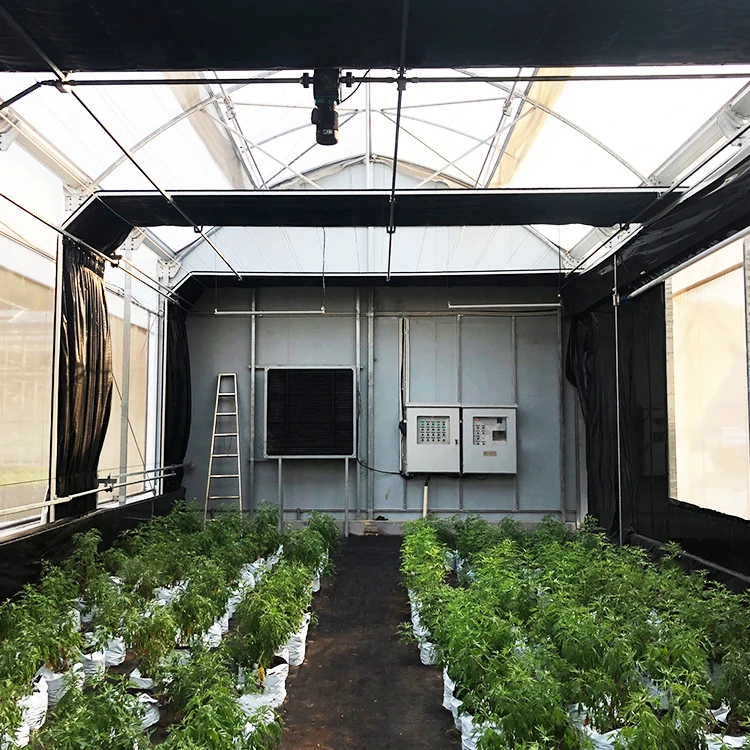 Vegetable Fruits Flowers Blackout light Deprivation Green House Plastic Film Tunnel Blackout Greenhouses for Medical
