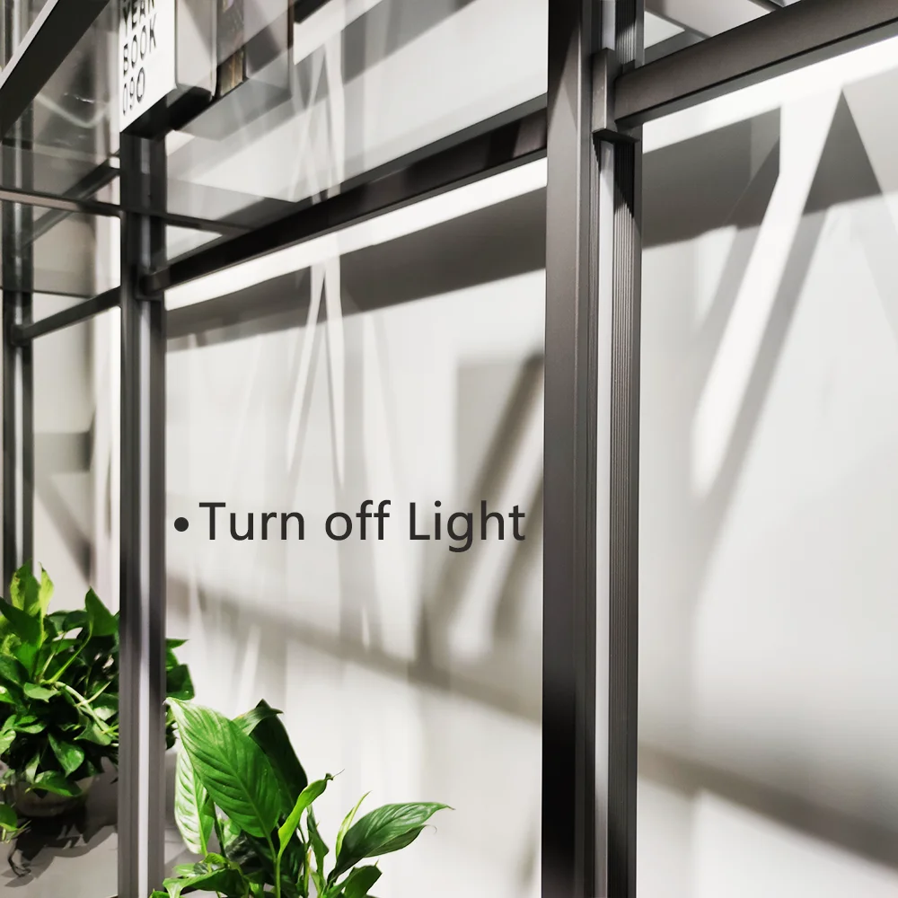 Hallway Living Room Furniture Wooden Shelves Color Partition Cabinet