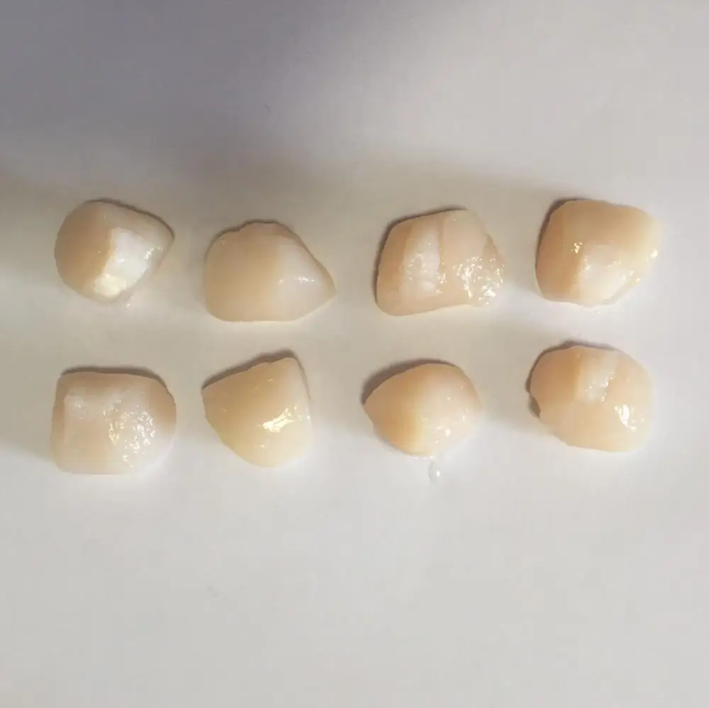 
Best selling new catch boiled frozen bay scallop and scallop meat 