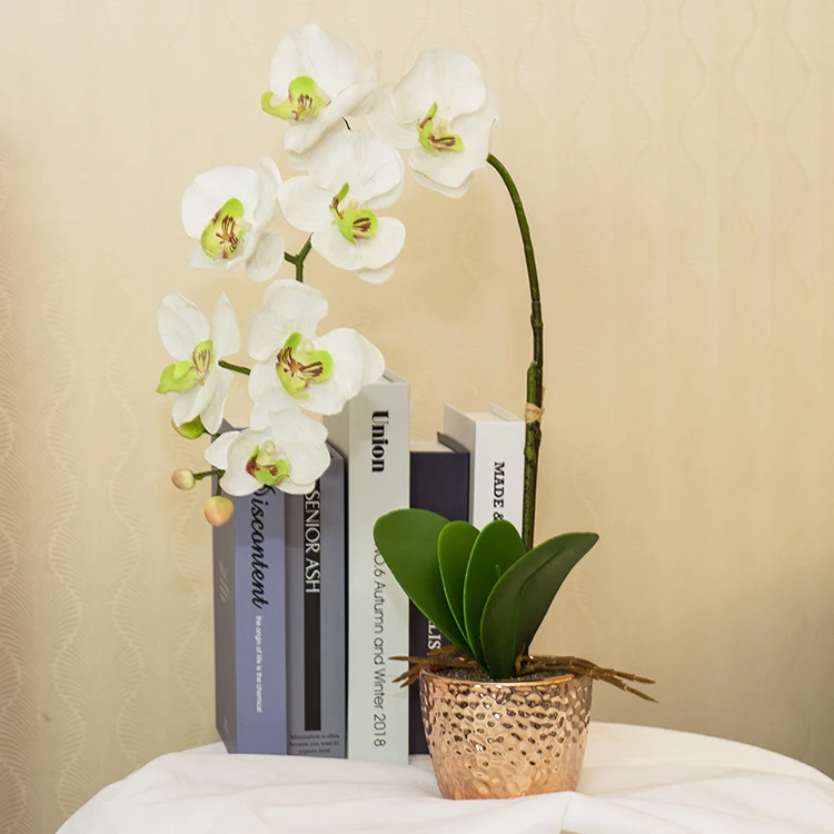 Multicolor Customizable Plastic Dried Phalaenopsis Orchid Flowers Plants In Golden Pot