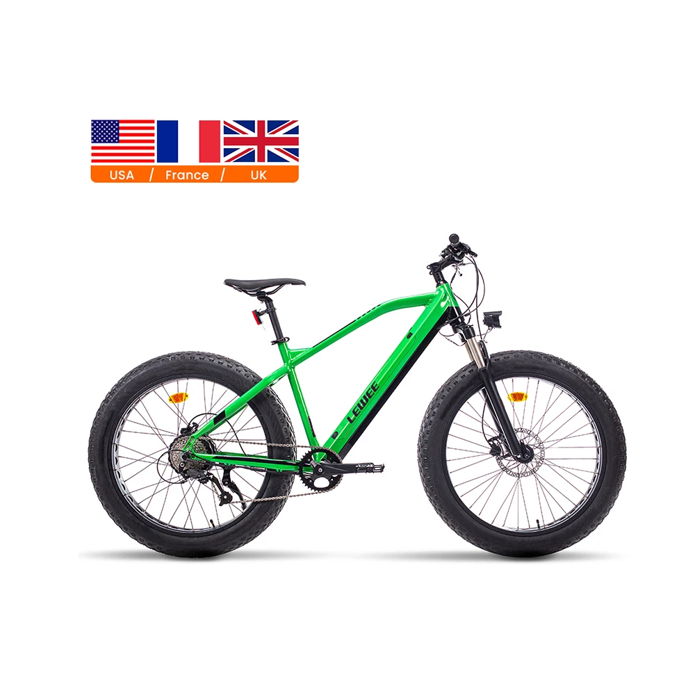 Factory wholesale 250w electric bike 48V Bafang Rear cassette motor Shimano 7 Speed electric bike for electric bike Adults