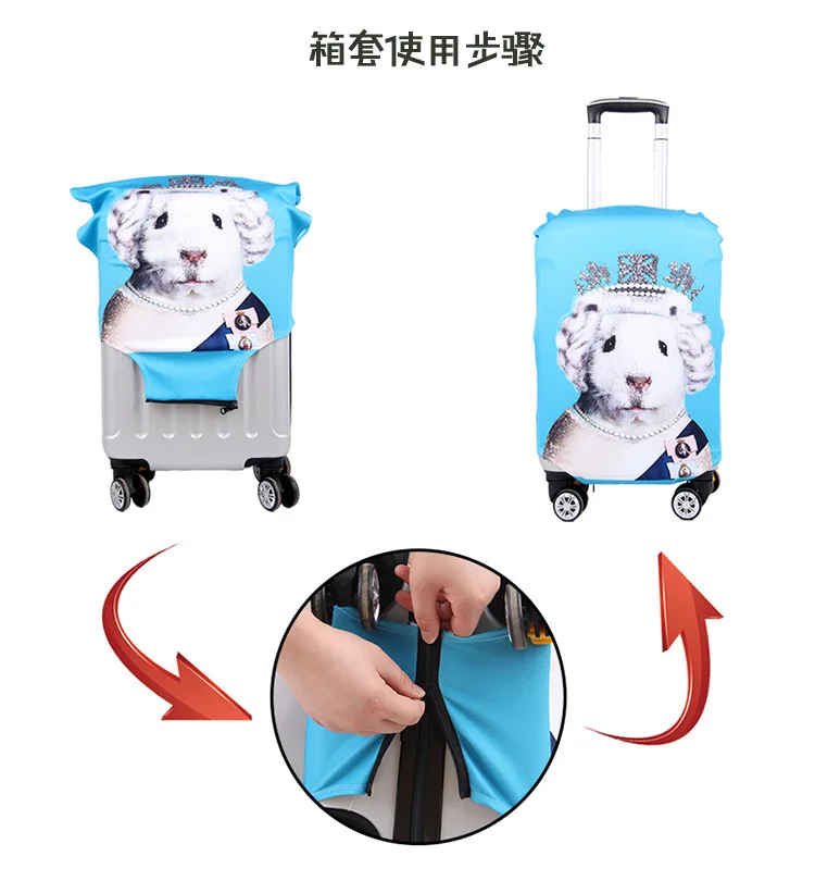 luggage cover 6.jpg
