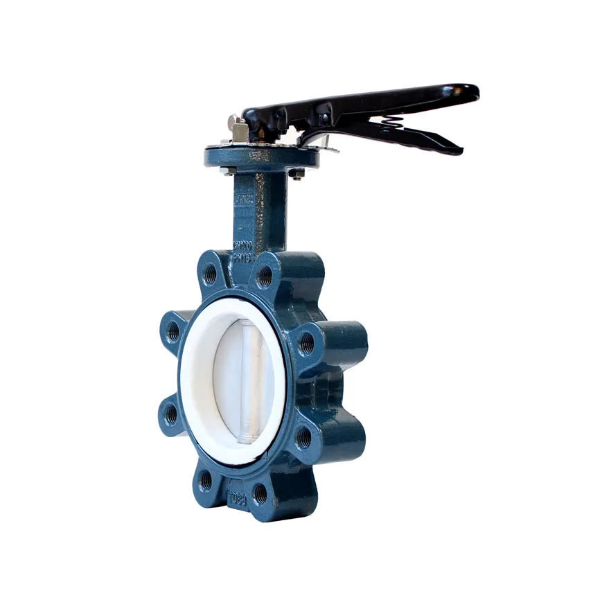 PTFE butterfly valve