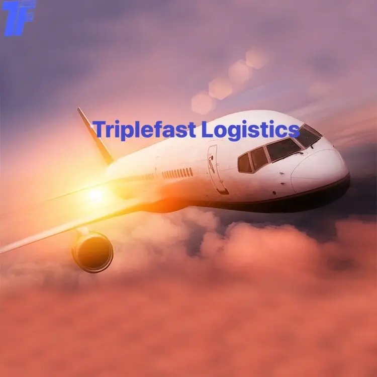 Express Courier Delivery Service China to Singapore  UPS DHL TNT Shipping Agent