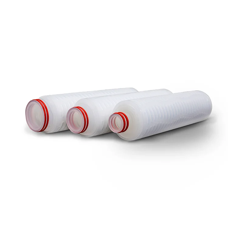 TS Filter Absolute Flow Rate 99.99% Efficiency 0.2 Micron 10 Inch PES Membrane Filter Cartridge