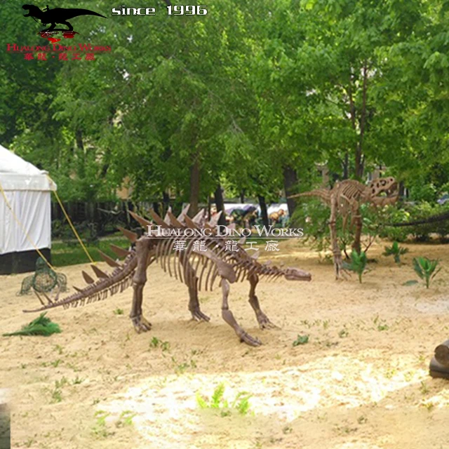 Prehistoric Dinosaurs Skeleton Model For Sale