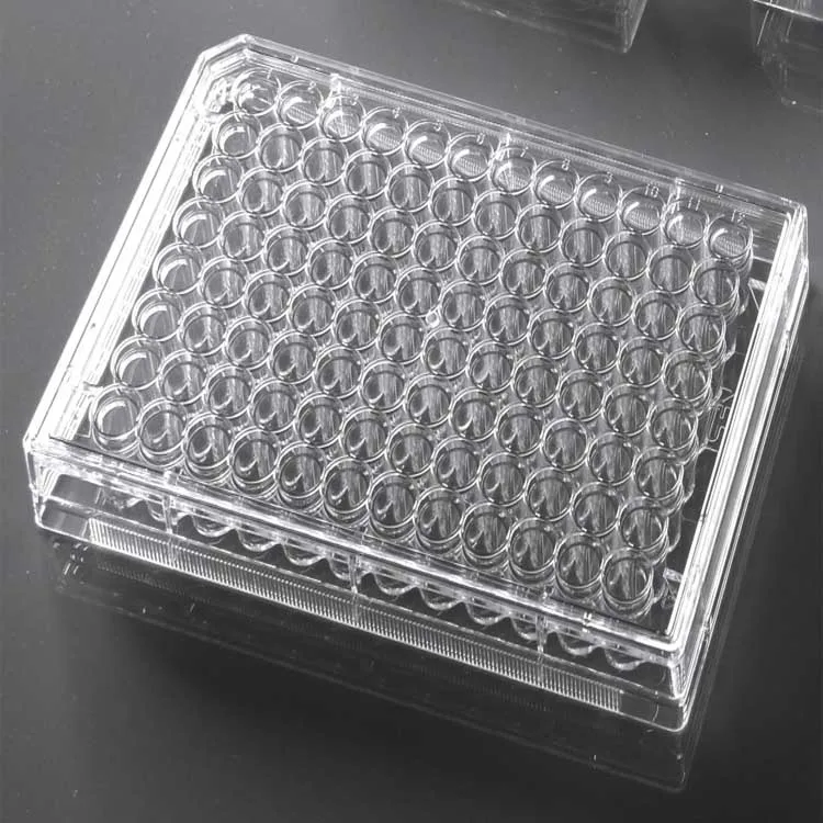PS flat U bottom V bottom 96 deep multi well cell culture plate