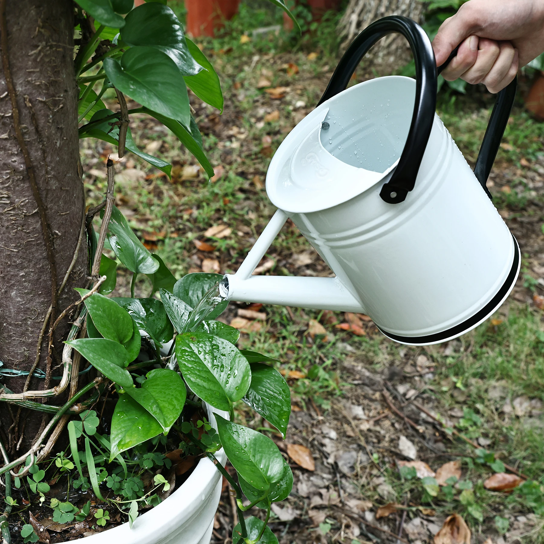 Cesun 1 Gallon Galvanized Zinc Metal Watering Can for Outdoor Black White